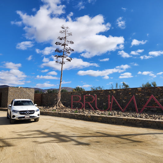 Luxury Travel 1 to 4 guests 🌟🚙👤