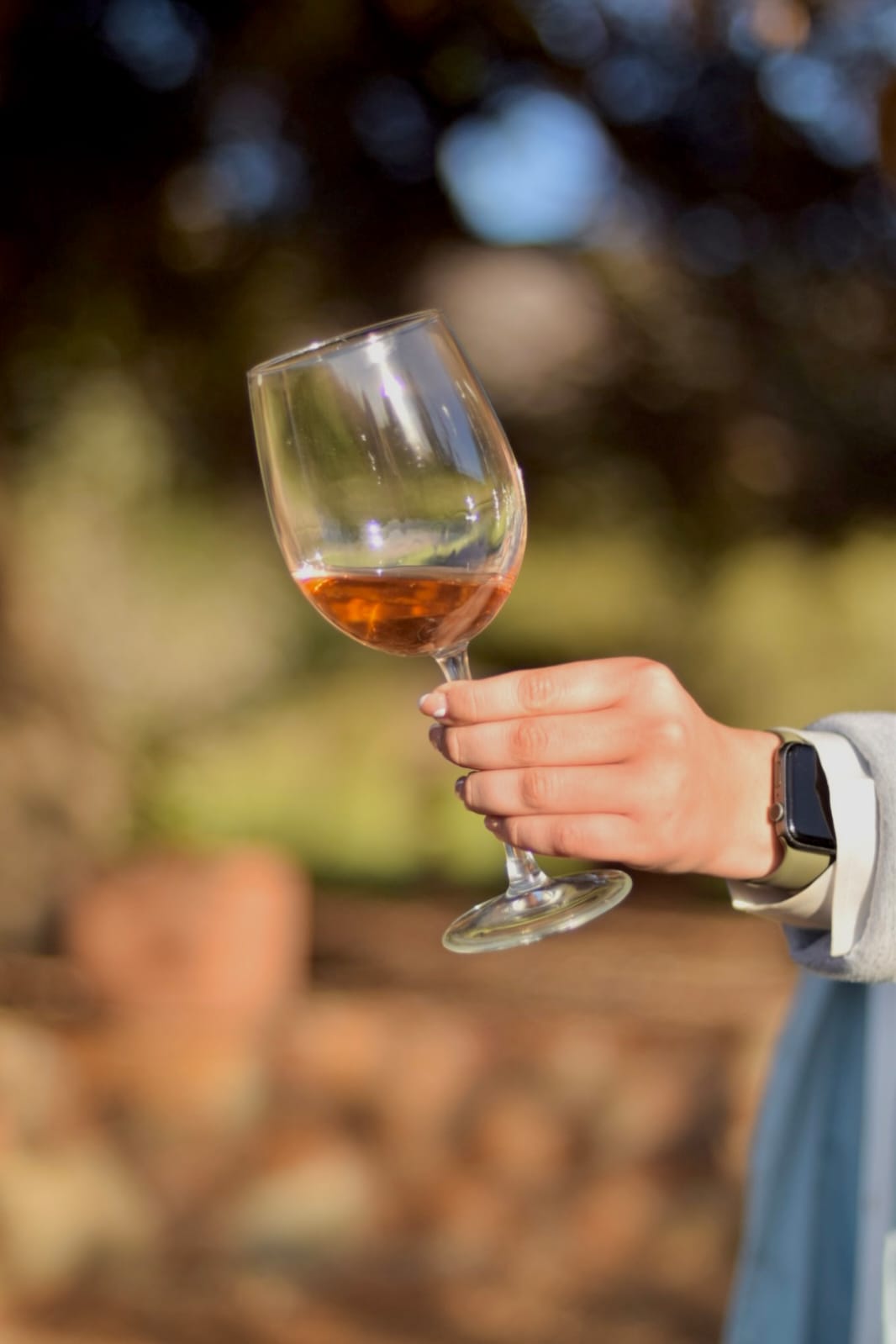 Descubra la Original Ruta del Vino
