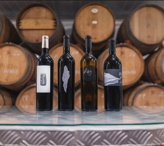 2-Day Valle de Guadalupe Tour!