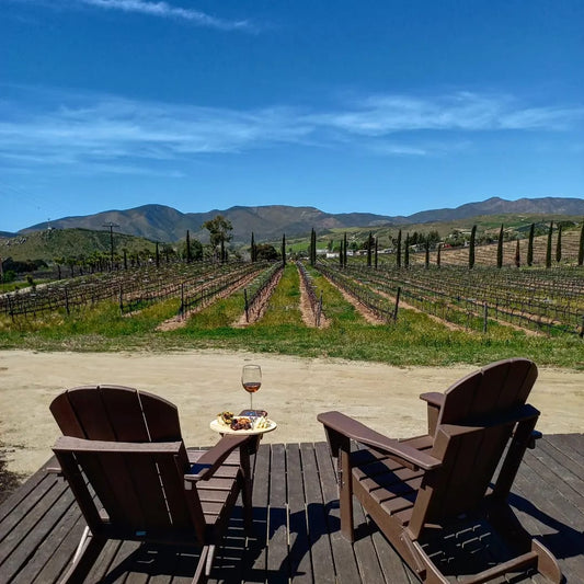 Descubra la Original Ruta del Vino 