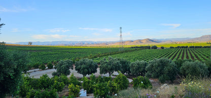 Descubra la Original Ruta del Vino 