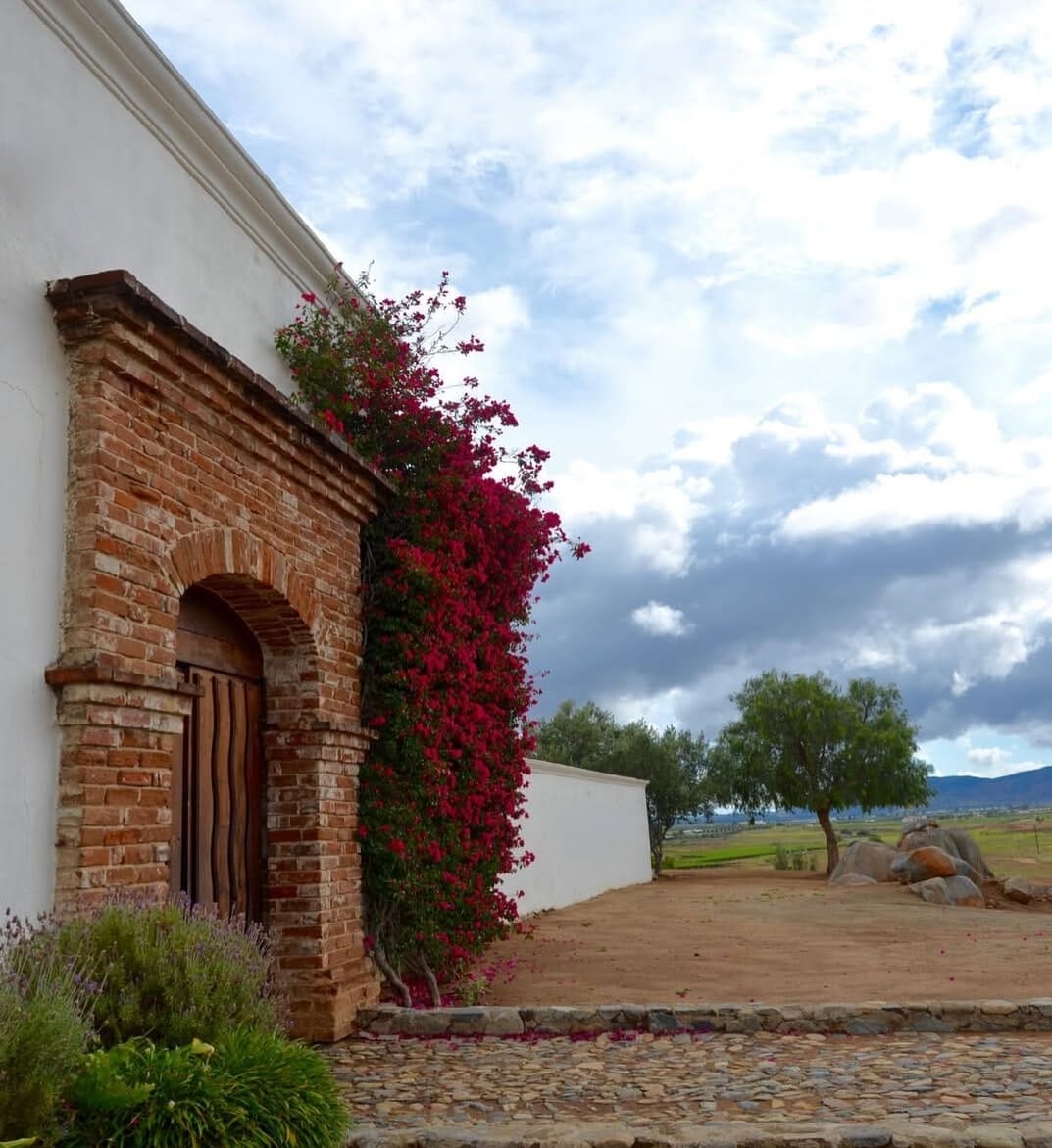 ¡Tour de 2 días al Valle de Guadalupe!