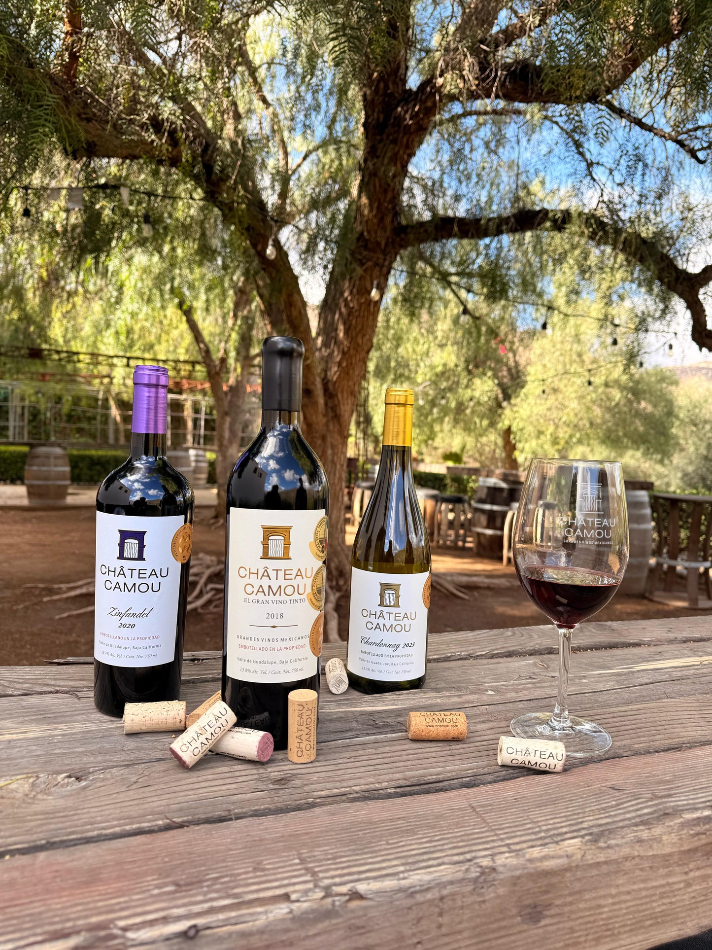 ¡Tour de 2 días al Valle de Guadalupe!