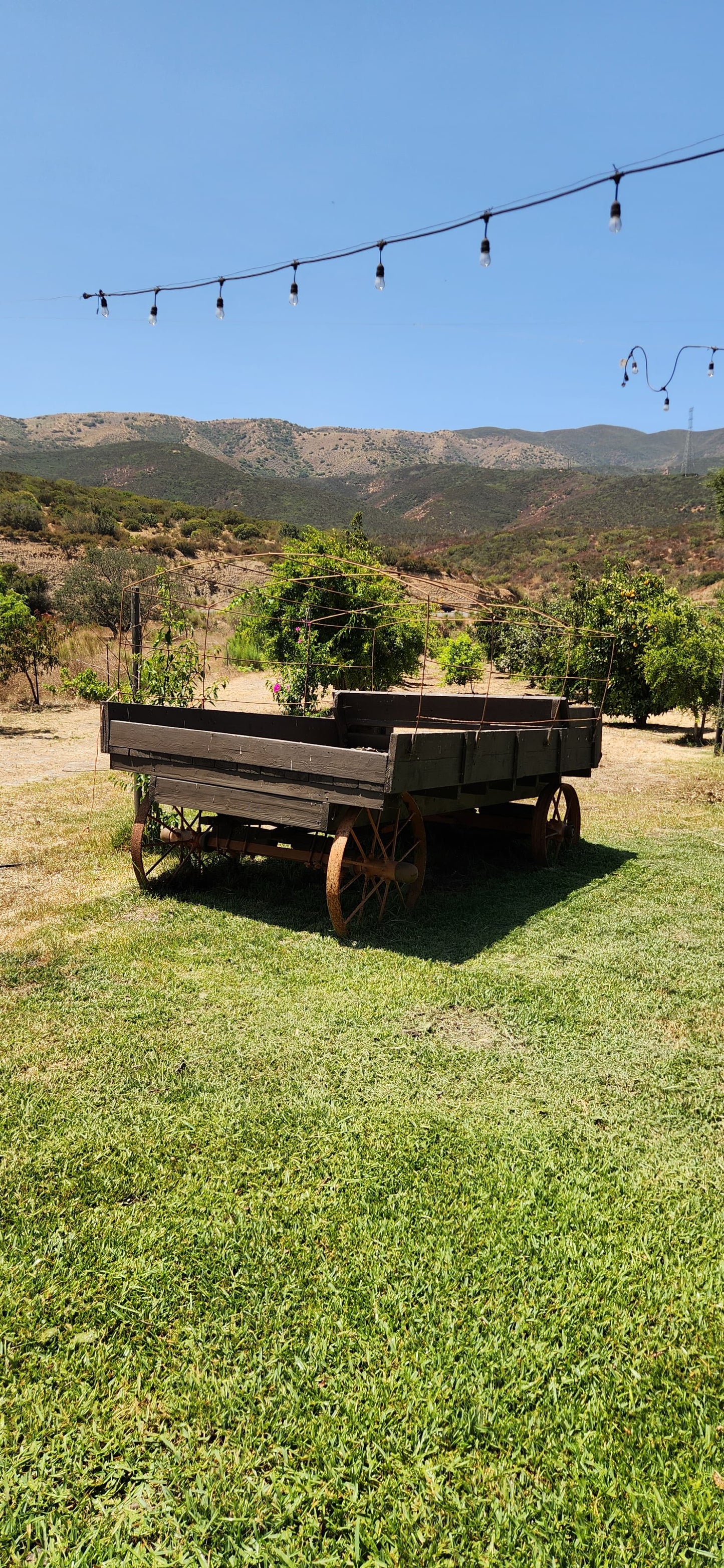 ¡Tour de 3 días Rutas del Vinos de Baja California!