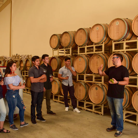 Ruta del Vino: Bodegas del Valle de Guadalupe 🍷✨
